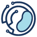 HackBeanpot logo